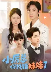 短剧《小厉总你找错妹妹了》高清完整版全集免费在线观看