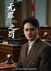 无罪之罚（30集）海报