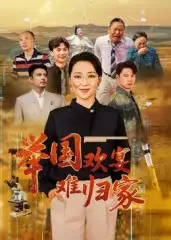 举国欢宴难归家（40集）海报