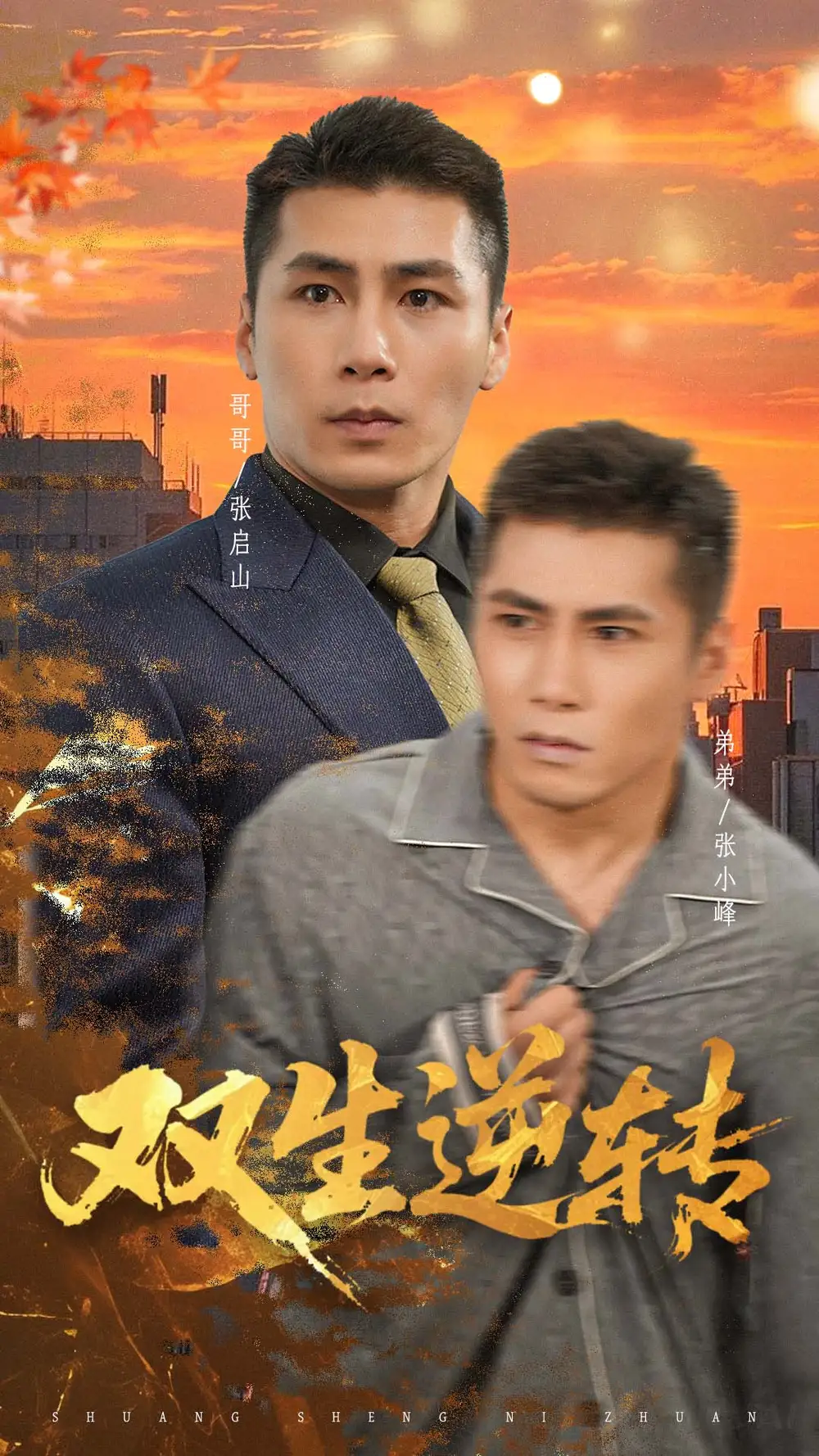 双生逆转（60集）王妍海报