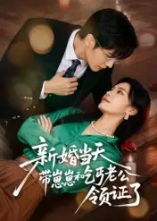 短剧《新婚当天带崽崽和乞丐老公领证了》高清完整版全集免费在线观看