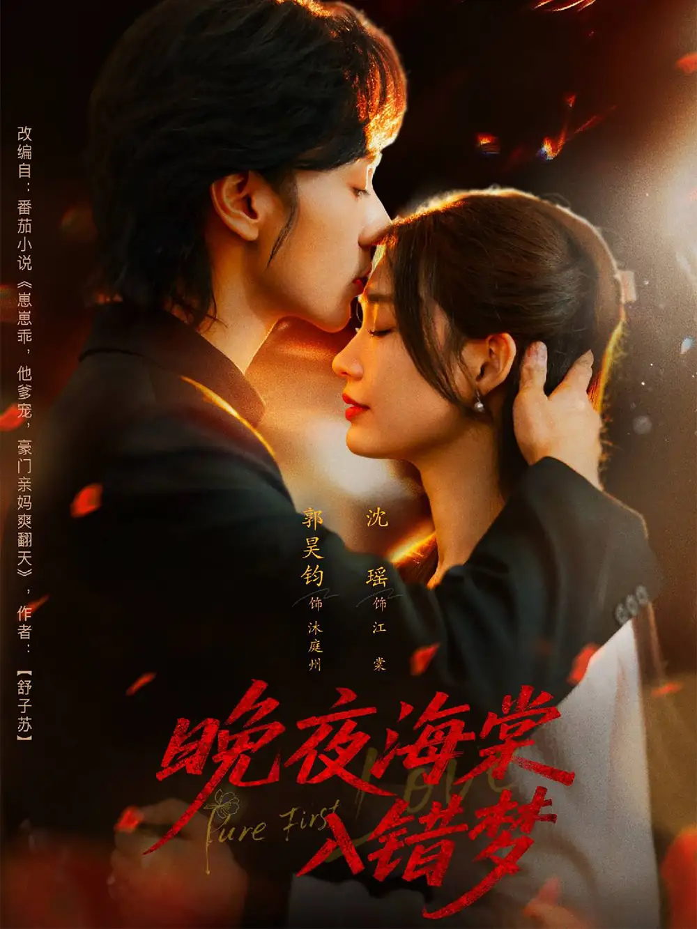 短剧《晚夜海棠入错梦》免费观看高清完整版
