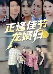 短剧《正逢佳节龙婿归》免费观看高清完整版