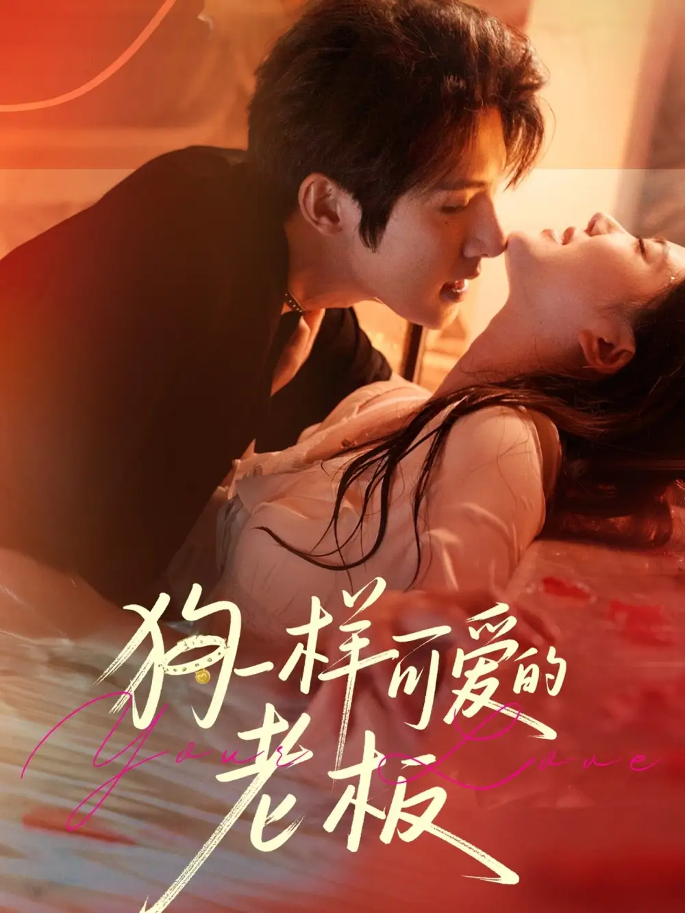 短剧《狗一样可爱的老板》免费观看高清完整版