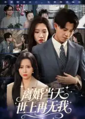 短剧《离婚当天世上再无我》免费观看高清完整版
