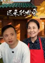 短剧《迟来的母爱》免费观看高清完整版