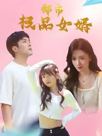 都市极品女婿&都市逍遥女婿（96集）海报