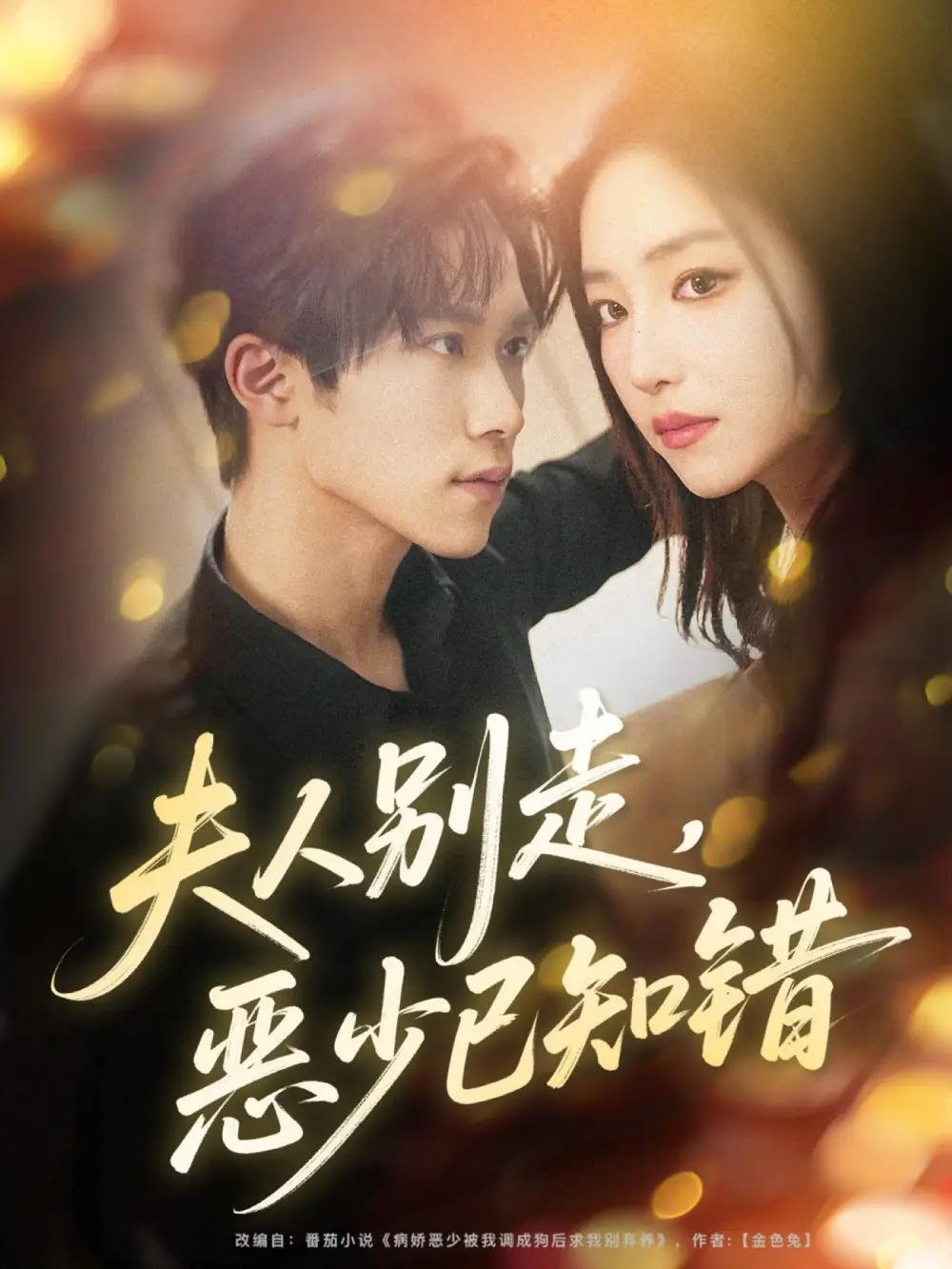 短剧《夫人别走恶少已知错》免费观看高清完整版