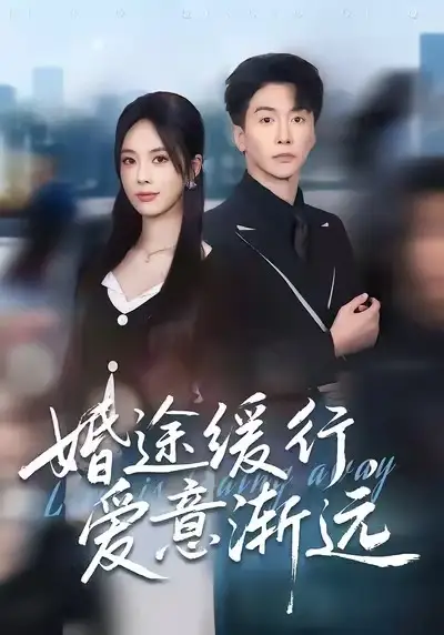 短剧《婚途缓行，爱意渐远》免费观看高清完整版