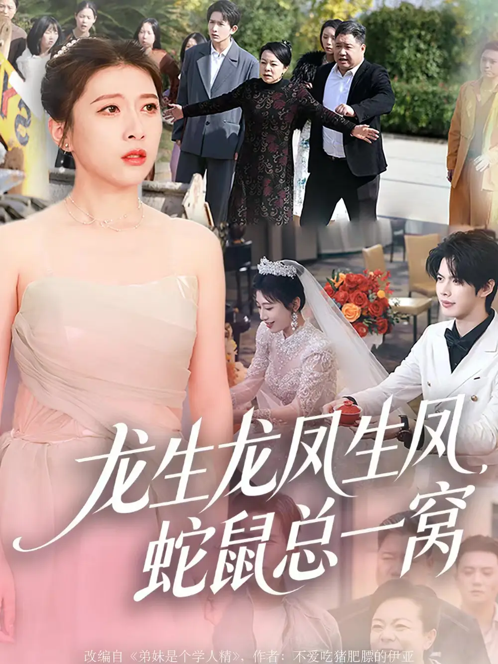 短剧《龙生龙凤生凤，蛇鼠总一窝》免费观看高清完整版